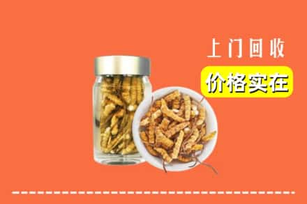 收购资讯:绥棱县回收散虫草