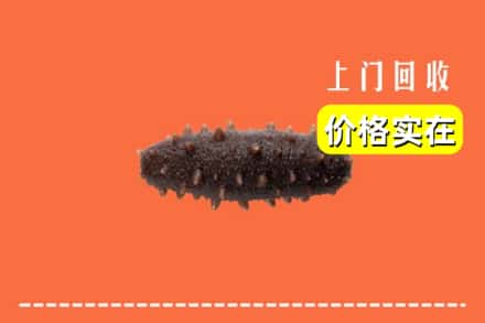 收购资讯:绥棱县回收海参