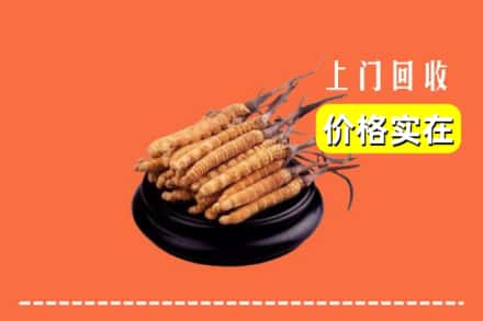 绥棱县回收冬虫夏草