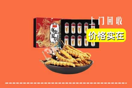 绥棱县回收虫草